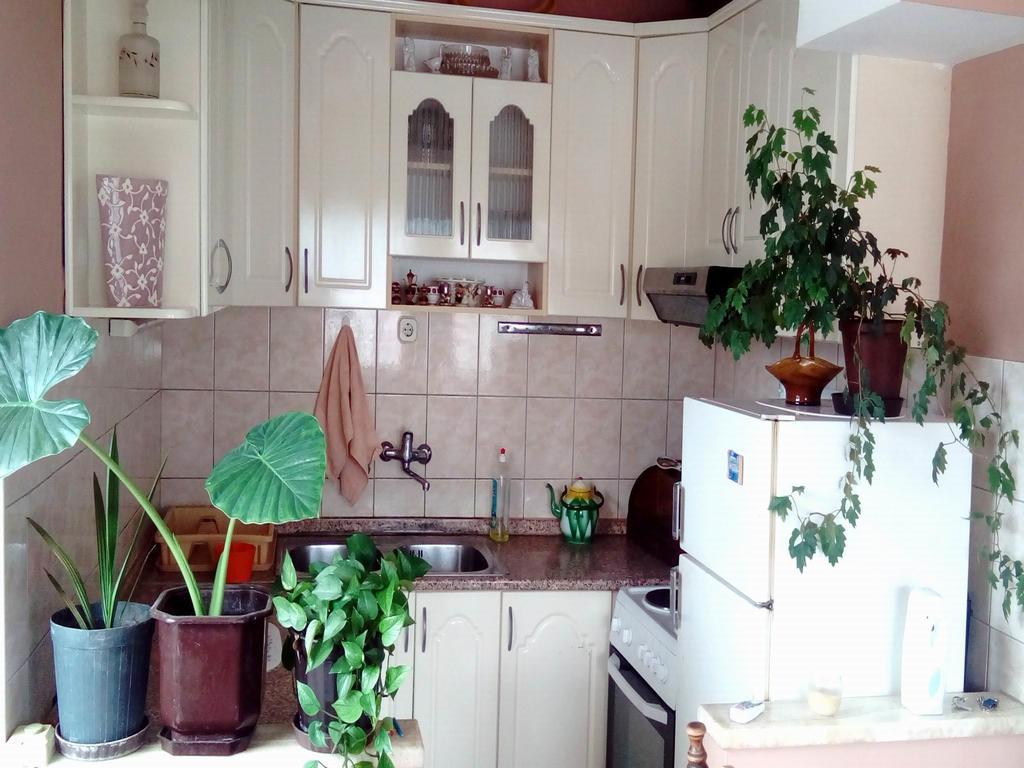 Apartment Luka Ohrid Zimmer foto